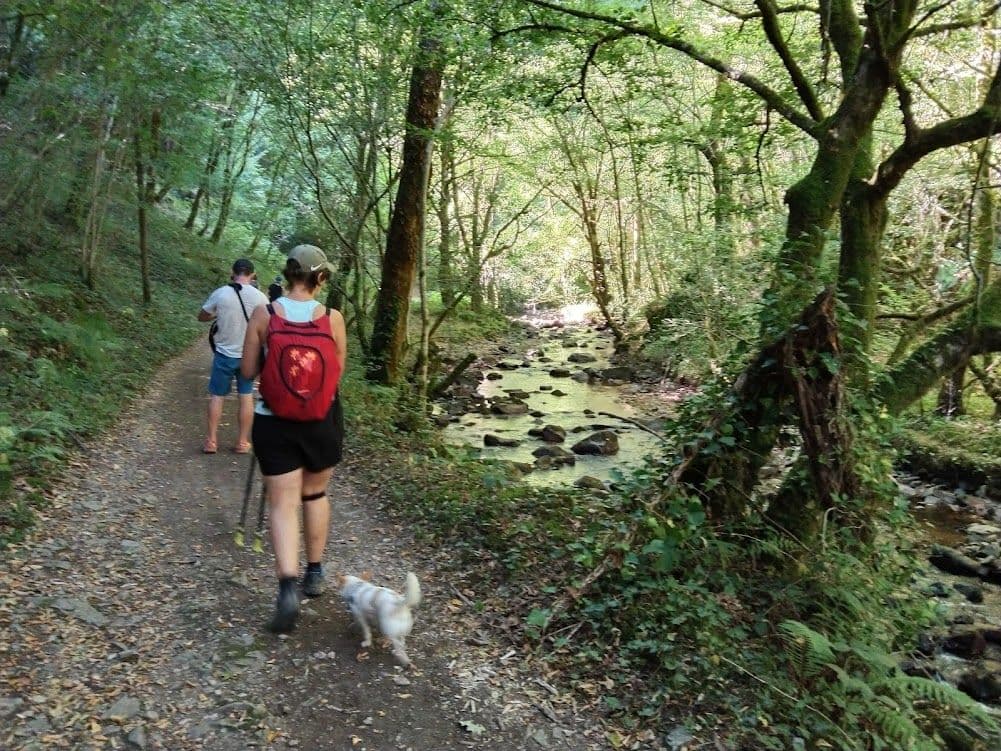 Randonnées au fil des chemins du Lot et de la vallée heureuse
